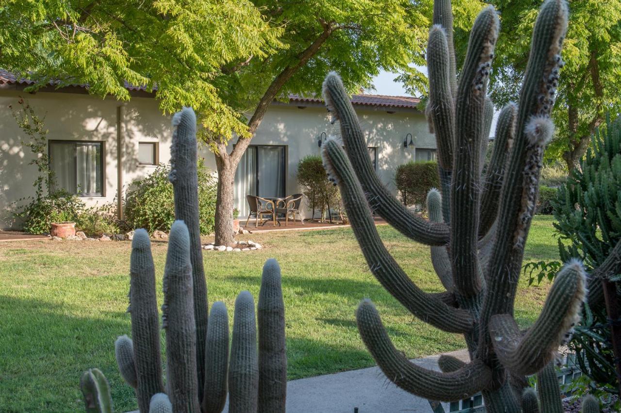 Готель Degania Bet Kibbutz Country Lodging Кіннерет Екстер'єр фото